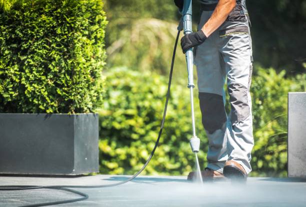  Lake Odessa, MI Pressure Washing Pros